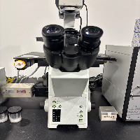 Olympus IX2-ILL100 Microscope image 3